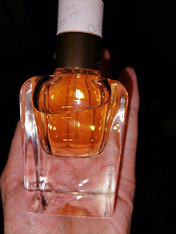 hermes absolu eau de parfum